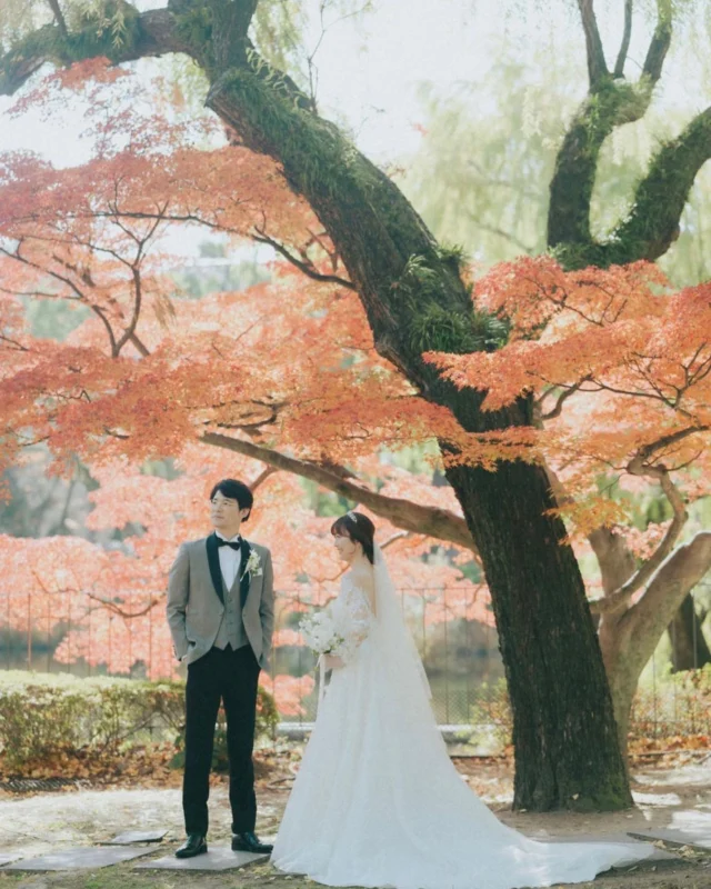 今が丁度素敵な紅葉🍁となっております☺️
また、中央芝生ではクリスマスツリー🎄も
点灯しております⭐️

@nobuyuki__aoki 
@infini.fleur 
#関学
#結婚式
#紅葉
#挙式
#kg