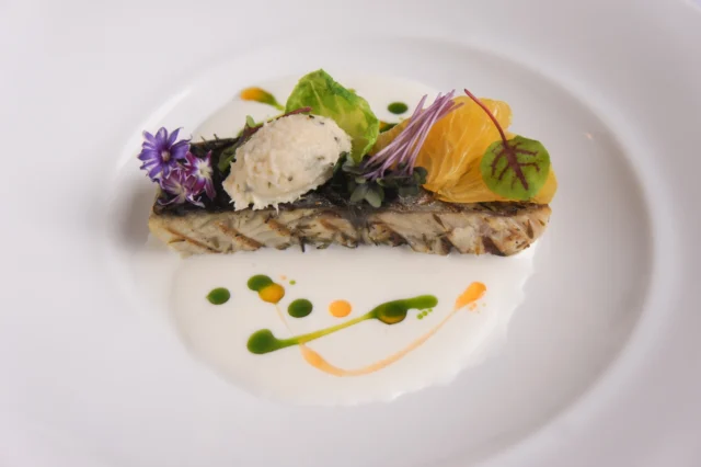 春を告げる魚「鰆（サワラ）」を主役に、
春の七草のひとつ「蕪（カブ）」をソースに。
鮮魚のランチも、春模様。
 
 
#レストランポプラ